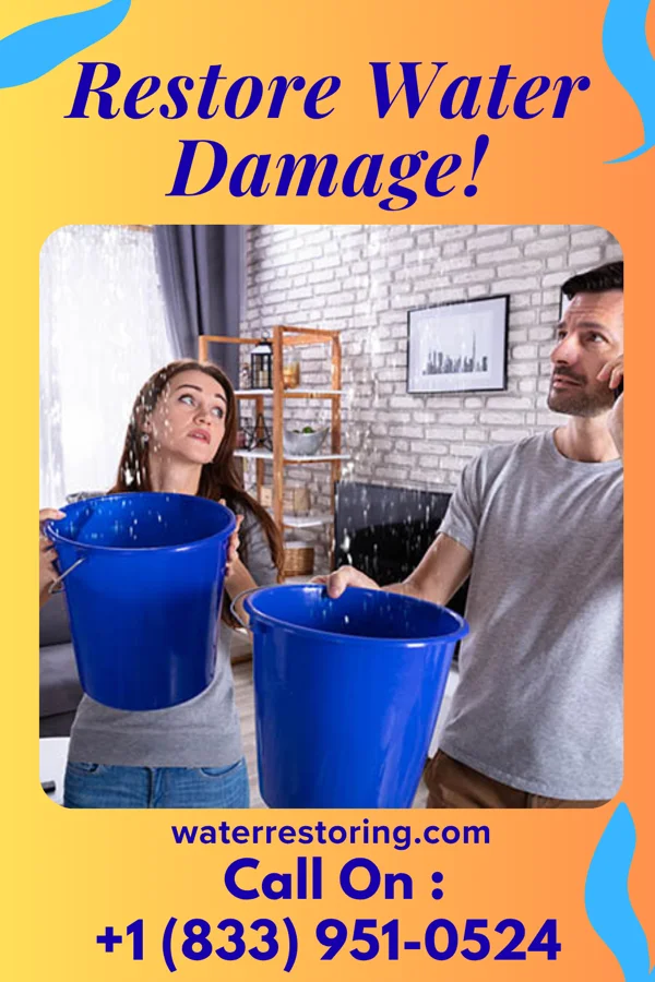 water restoration Shield Storm Damage Services Shirley